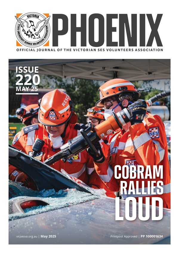 Phoenix Journal